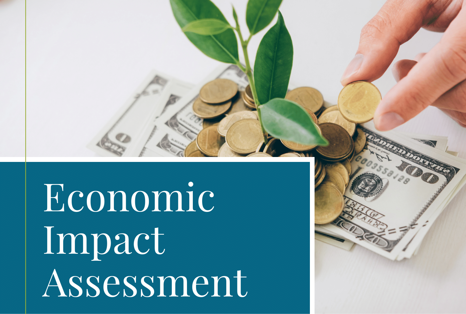 Economic Impact Assessments Thriive