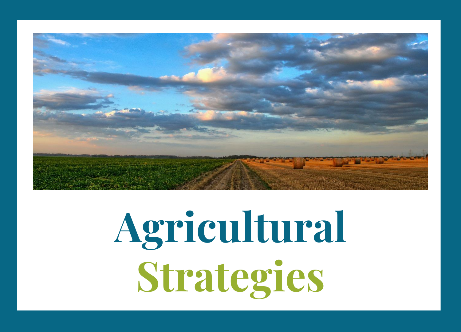 Agricultural Strategies Thriive