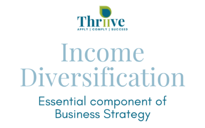 Business Strategy & Income Diversification