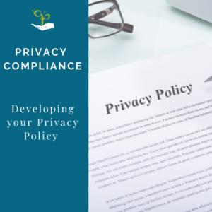 developing privacy policy